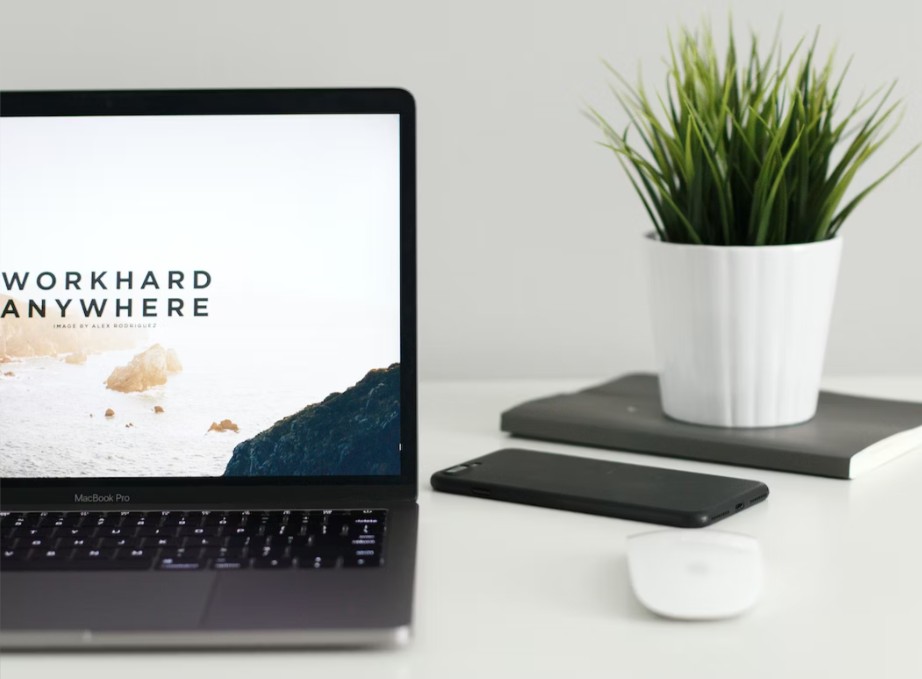 desk plant by a laptop